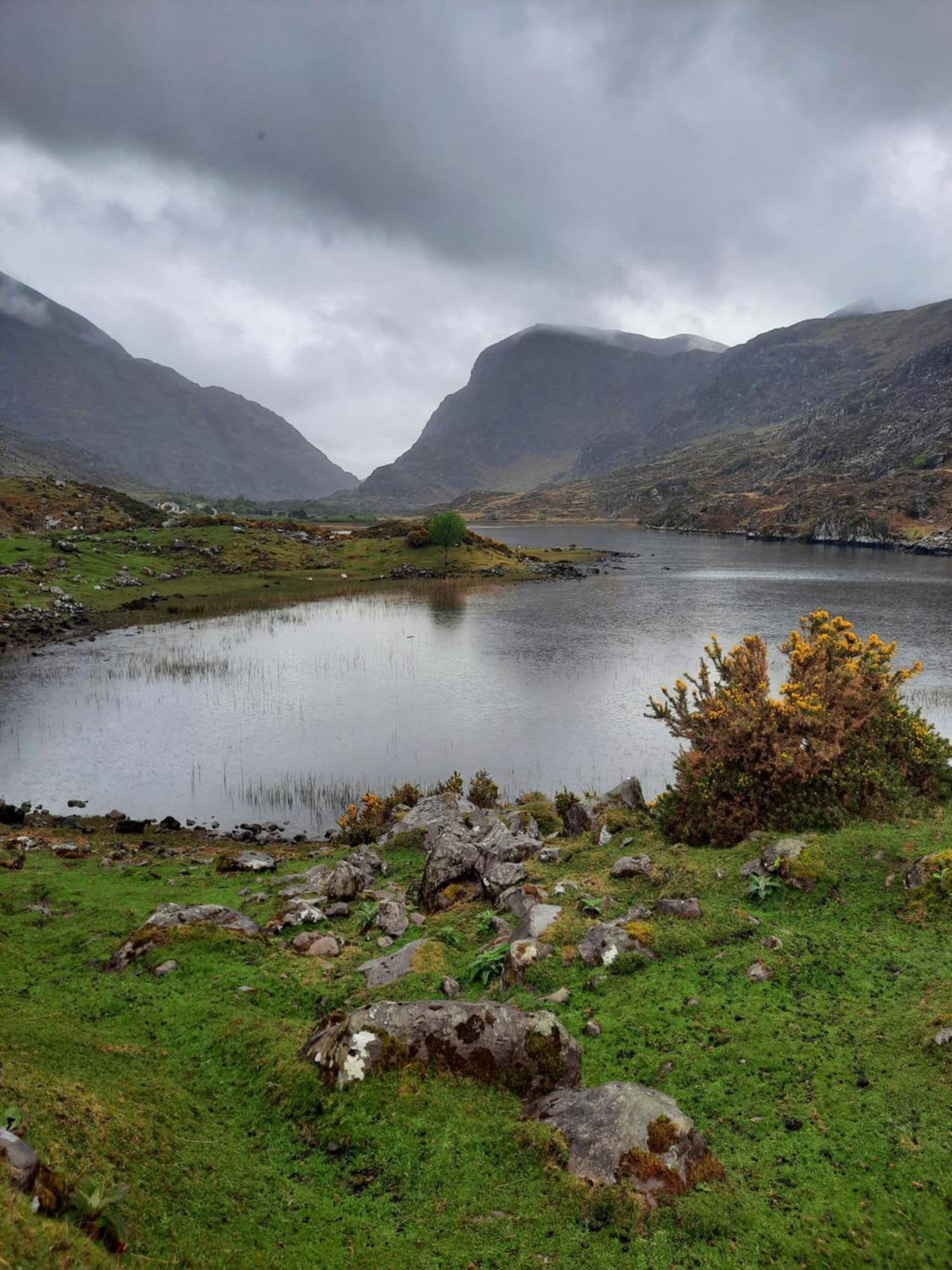 Colleen Bawn Cottage Gap Of Dunloe Kerry Laune Bridge Екстериор снимка