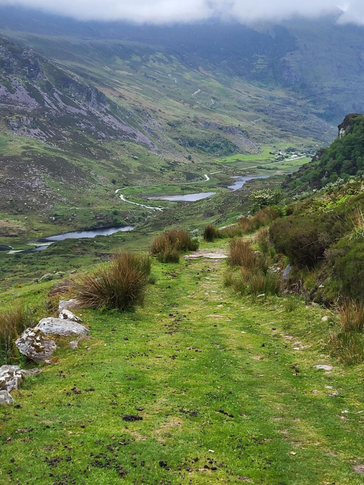 Colleen Bawn Cottage Gap Of Dunloe Kerry Laune Bridge Екстериор снимка